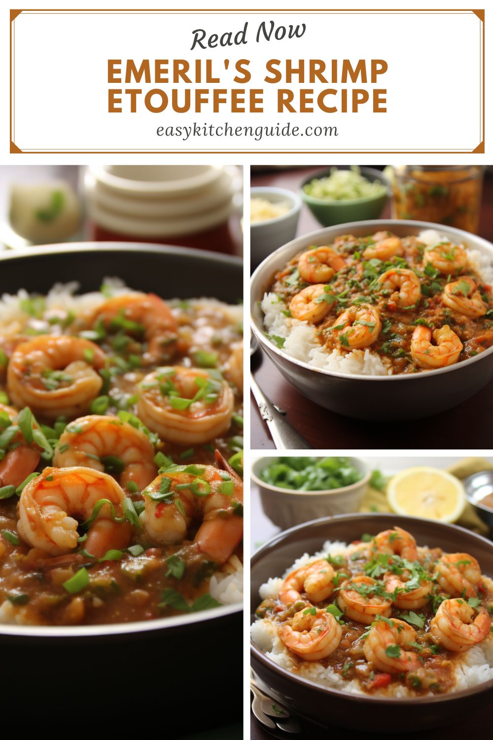 Emeril S Shrimp Etouffee Recipe Easy Kitchen Guide