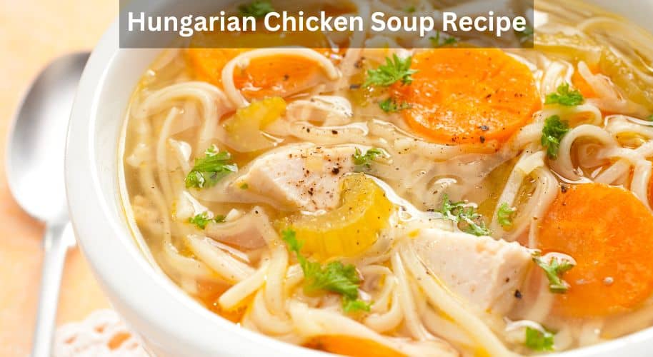 Hungarian chicken soup