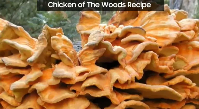 Chicken of The Woods Recipe