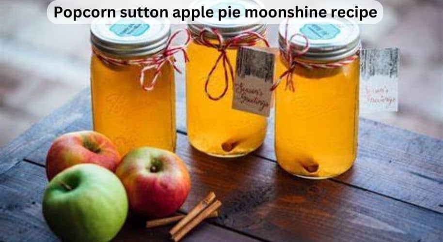 Popcorn Sutton Apple Pie Moonshine Recipe
