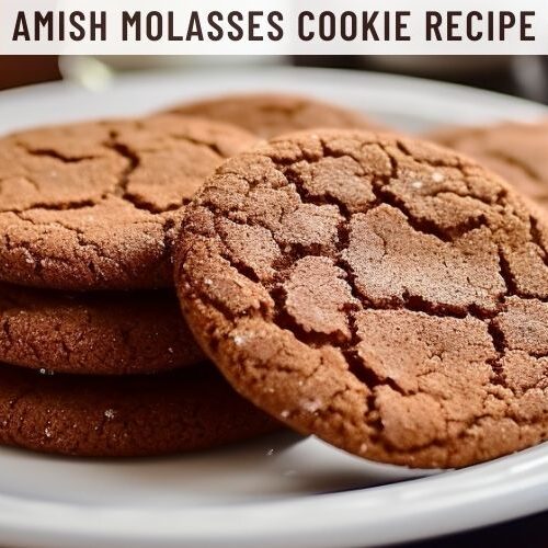 Amish Molasses Cookie Recipe