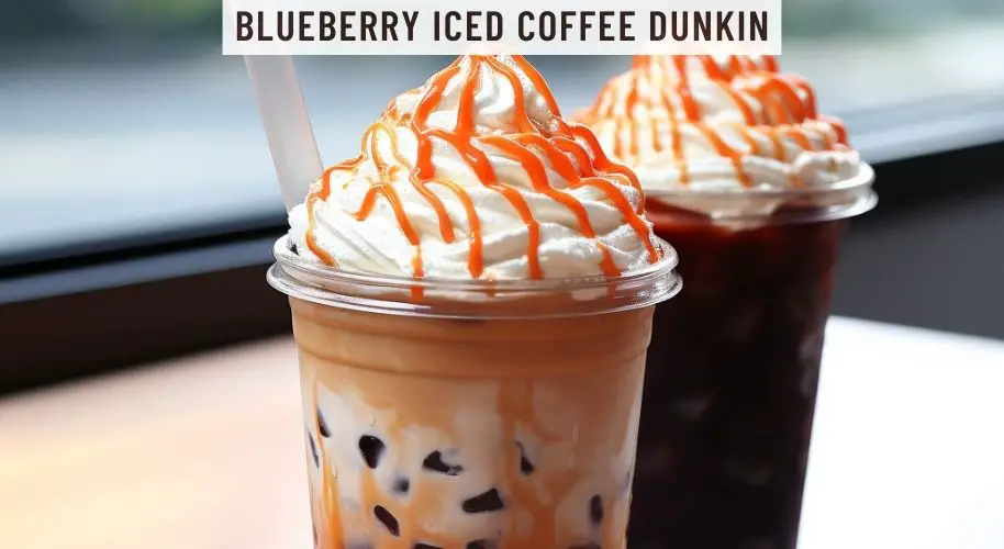 Blueberry Iced Coffee Dunkin