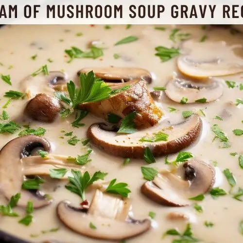 Cream of Mushroom Soup Gravy Recipe