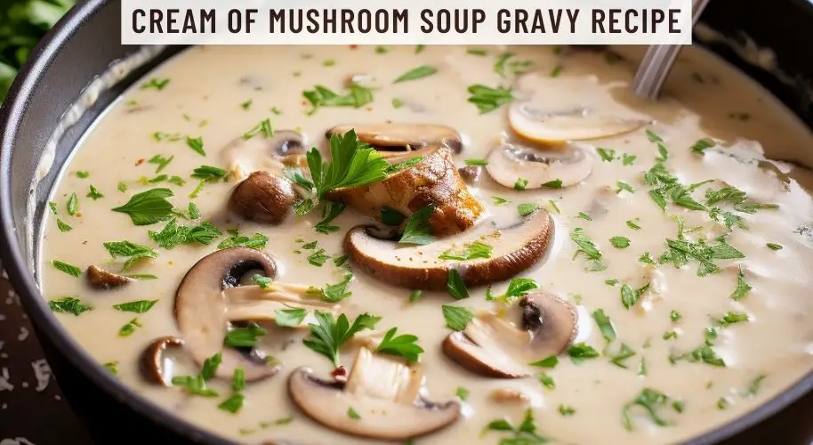 Cream of Mushroom Soup Gravy Recipe