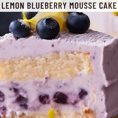 Lemon Blueberry Mousse Cake