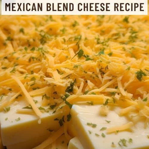 Mexican Blend Cheese Recipe