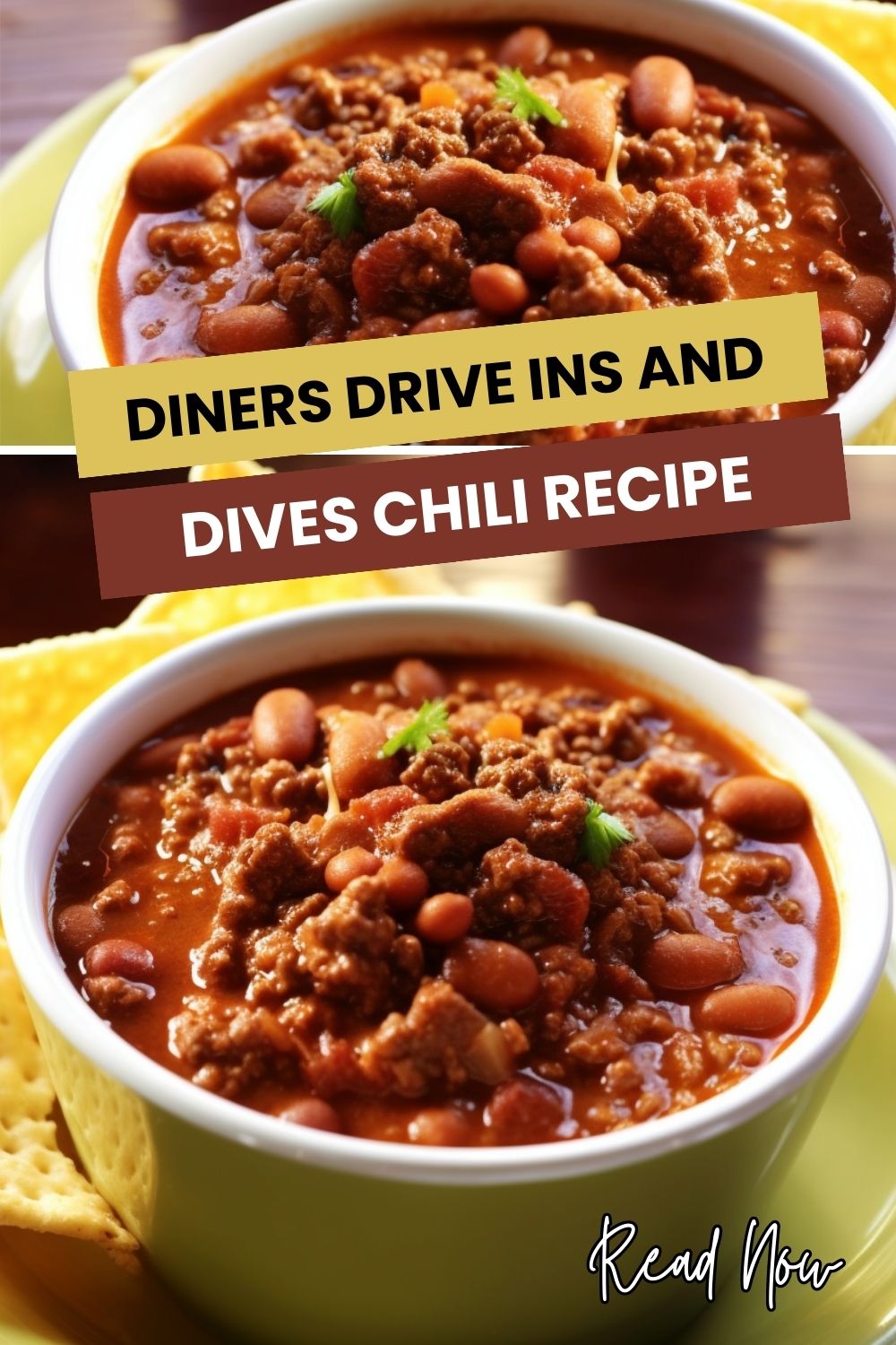 Diners Drive Ins And Dives Chili Recipe Easy Kitchen Guide