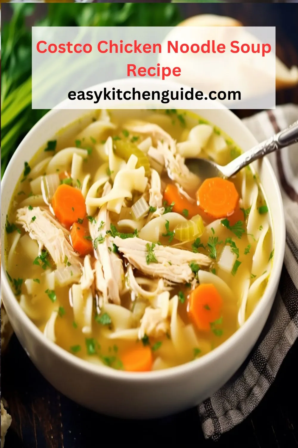 Costco Chicken Noodle Soup Recipe