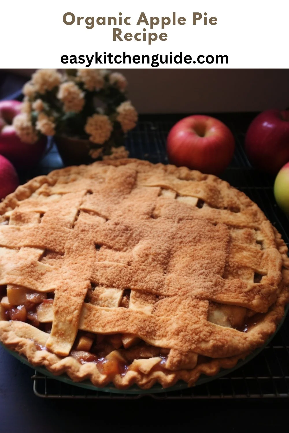 Organic Apple Pie Recipe