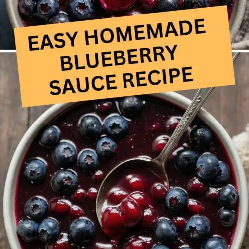 Easy Homemade Blueberry Sauce Recipe