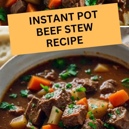 instant pot beef stew Recipe