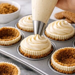 biscoff mini cheesecake recipe step 5 1